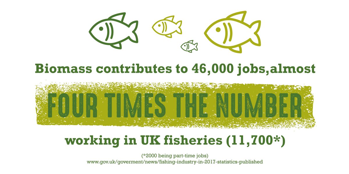 £3bn for green #jobs, energy efficiency improvements and decarbonising parts of the economy announced by <a href="/RishiSunak/">Rishi Sunak</a>. The UK #biomass sector supports 46,000 jobs and could create more as part of  #netzero, #rural heat decarbonisation and sustainable #forestry management policy