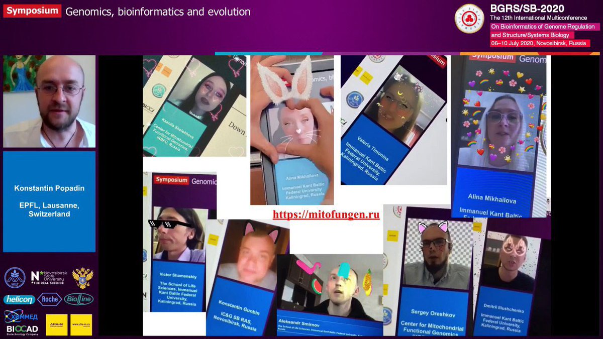 Alina Mikhailova tweet media