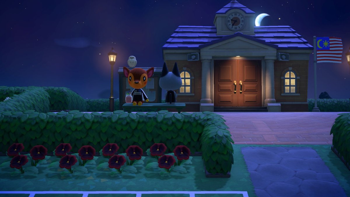 #AnimalCrossing #ACNH #NintendoSwitch