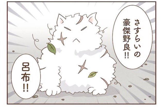 \ネコチャンみんなパワー/ 