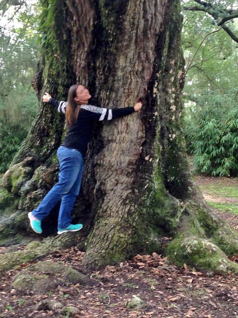 dr_mcglitter's tweet photo. @halseanderson @arborsmarty Avery island, LA. Wow, these live oaks 😍😍😍 and catch a tour of the #TabascoFactory while you’re down there! *Glitter Throw* https://t.co/ufsFvOYqNV