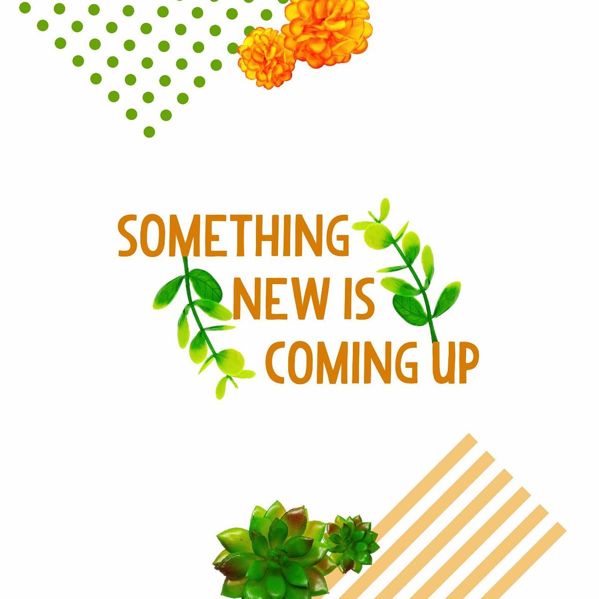 VoalaHuit's tweet photo. Something new is coming ! https://t.co/RodEjXAoK6