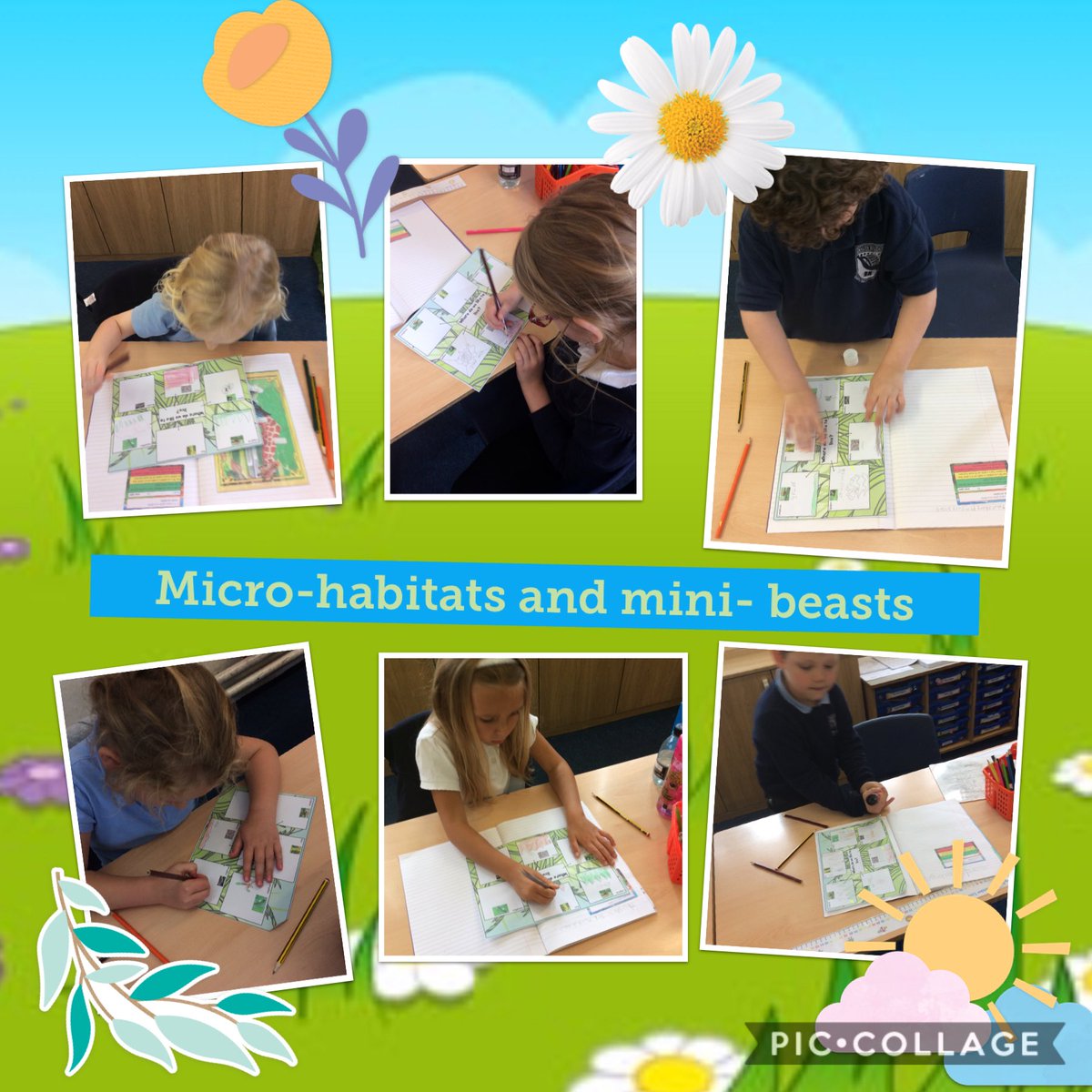 MalinOtters's tweet photo. We have learnt about micro habitats and mini beasts 🐌🐜🦋🐞🐛🐝 https://t.co/BcdwCWWMyj