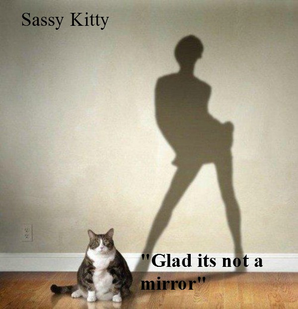 kittyguy77's tweet image. while I have the gastric flu stump the kitties few years ago