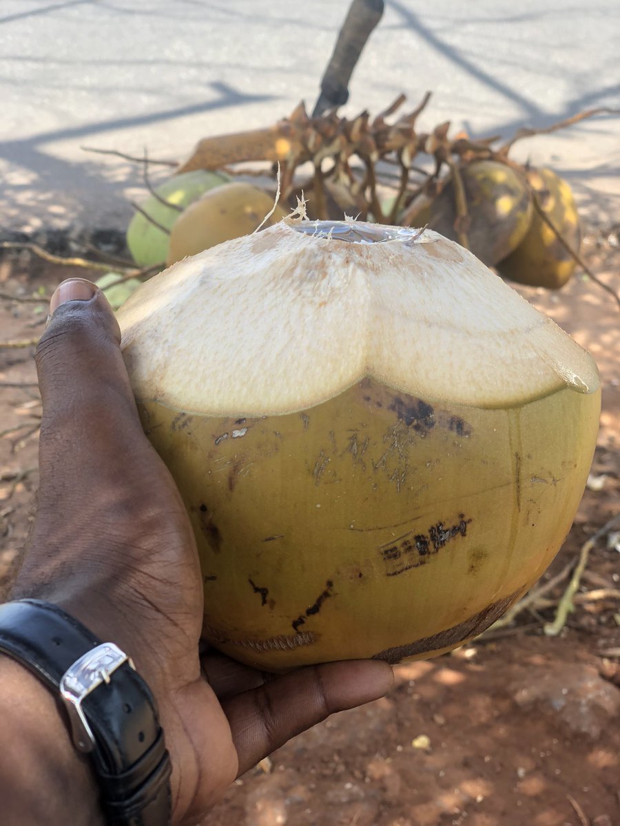 cocotiergh's tweet photo. Hello Twitter,

Please I need a consistent fresh Coconut supplier. I'm in Accra.
Kindly DM if you know anyone that could be of help. 
Please Retweet my supplier might be on your TL 
#Benin #Benin2020 #Ghana Wassce #JJ2020 https://t.co/MWBHUSy0AV