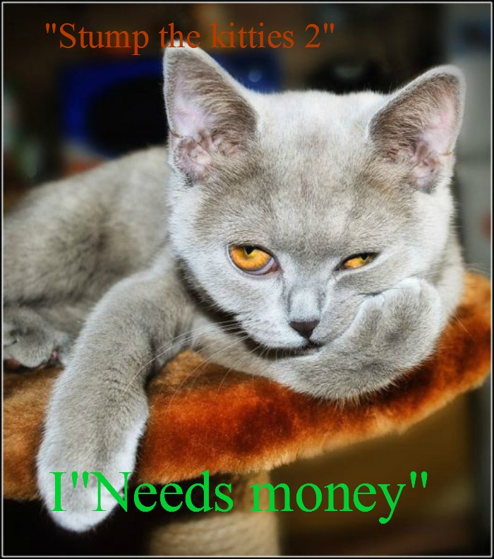 kittyguy77's tweet image. while I have the gastric flu stump the kitties few years ago