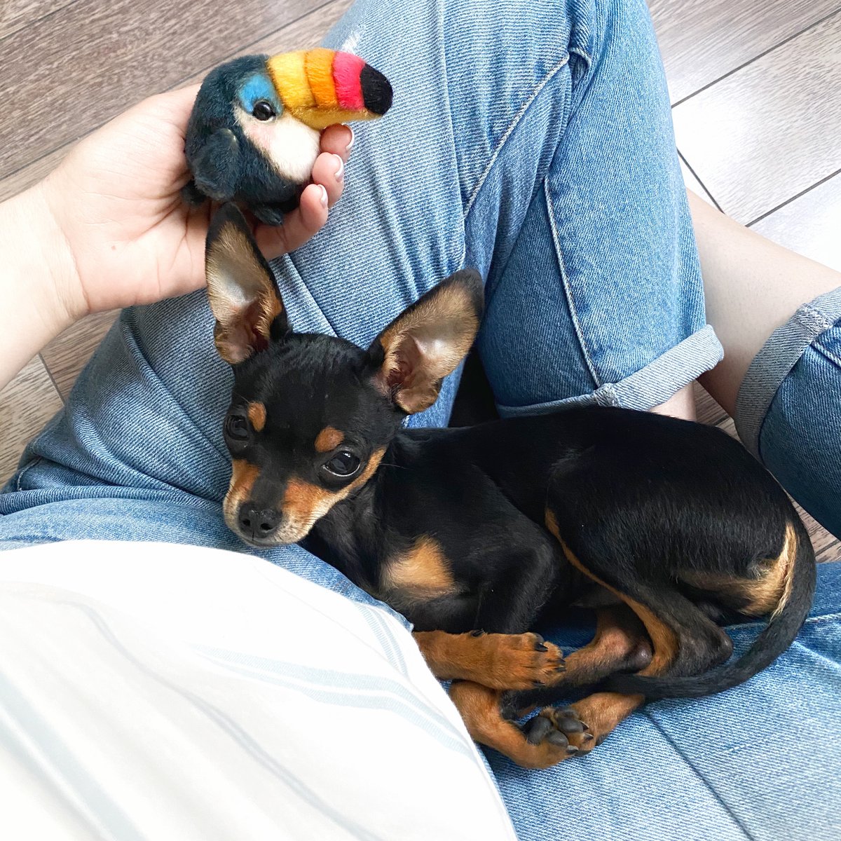 My two boys - Matthew and Toucan) The first one helped me creating the second one. Do you have helpers in your job?