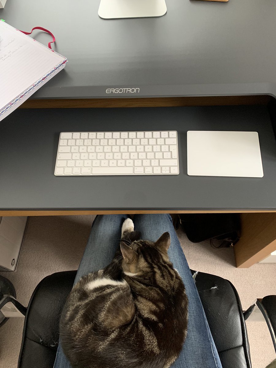 MacVetLtd's tweet photo. When you want to use your standing desk but the cat prefers you to be seated ๐
#MRes #studying #tryingtostudy #warmthprovider https://t.co/qDQiI2u4uv