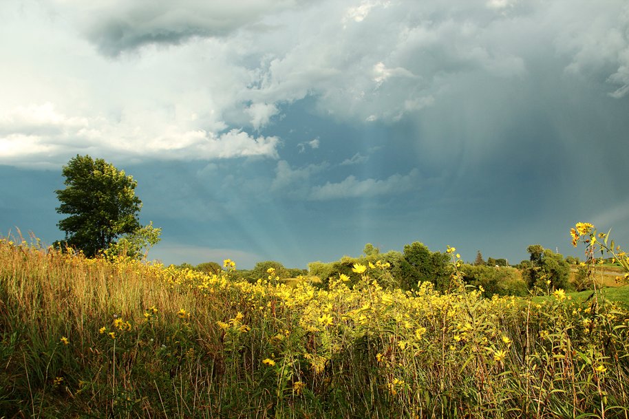Summer sunrise and sunset can be glorious out on the prairie! #conservation #GetOutside