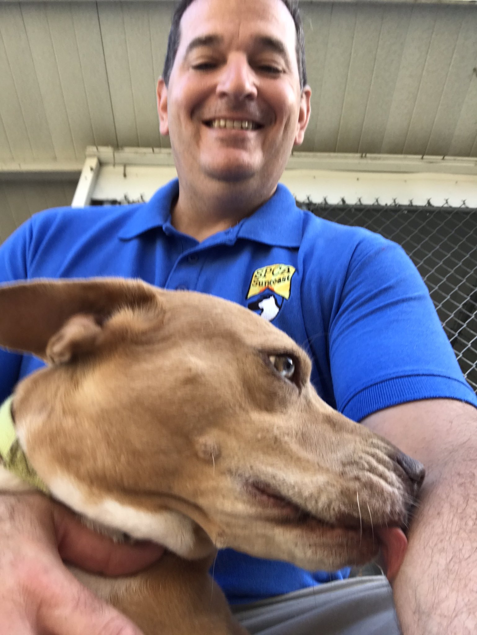 SPCA Suncoast (spca_suncoast) / Twitter