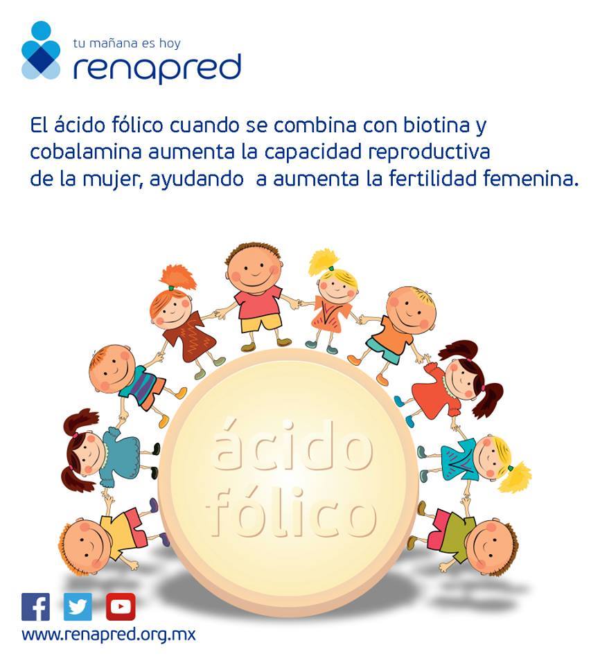 renapred_mexico's tweet photo. El #ÁcidoFólico cuando se combina con #Biotina y #Cobalamina aumenta la capacidad reproductiva de la mujer, ayudando a aumentar la fertilidad femenina. #TuMañanaesHoy. Para más información visita: https://t.co/rVqgjH1X3c https://t.co/D4coeKMTxx