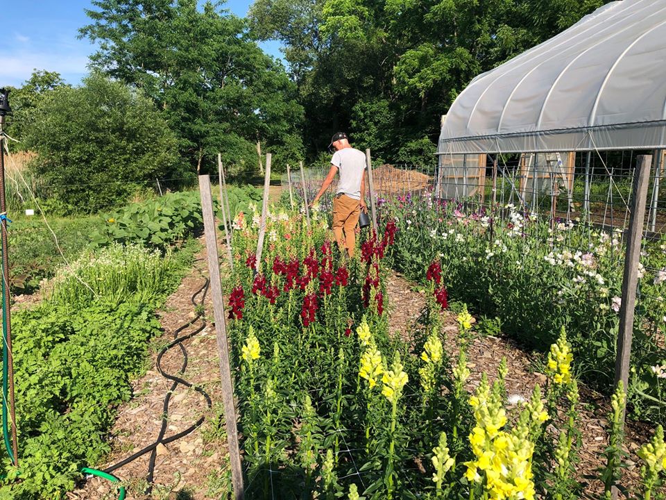 Farm stand open online now conta.cc/3gCUPSh