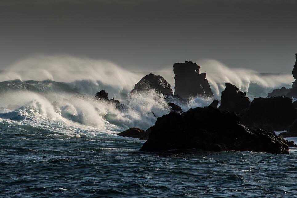 Fernando Rovzar tweet media