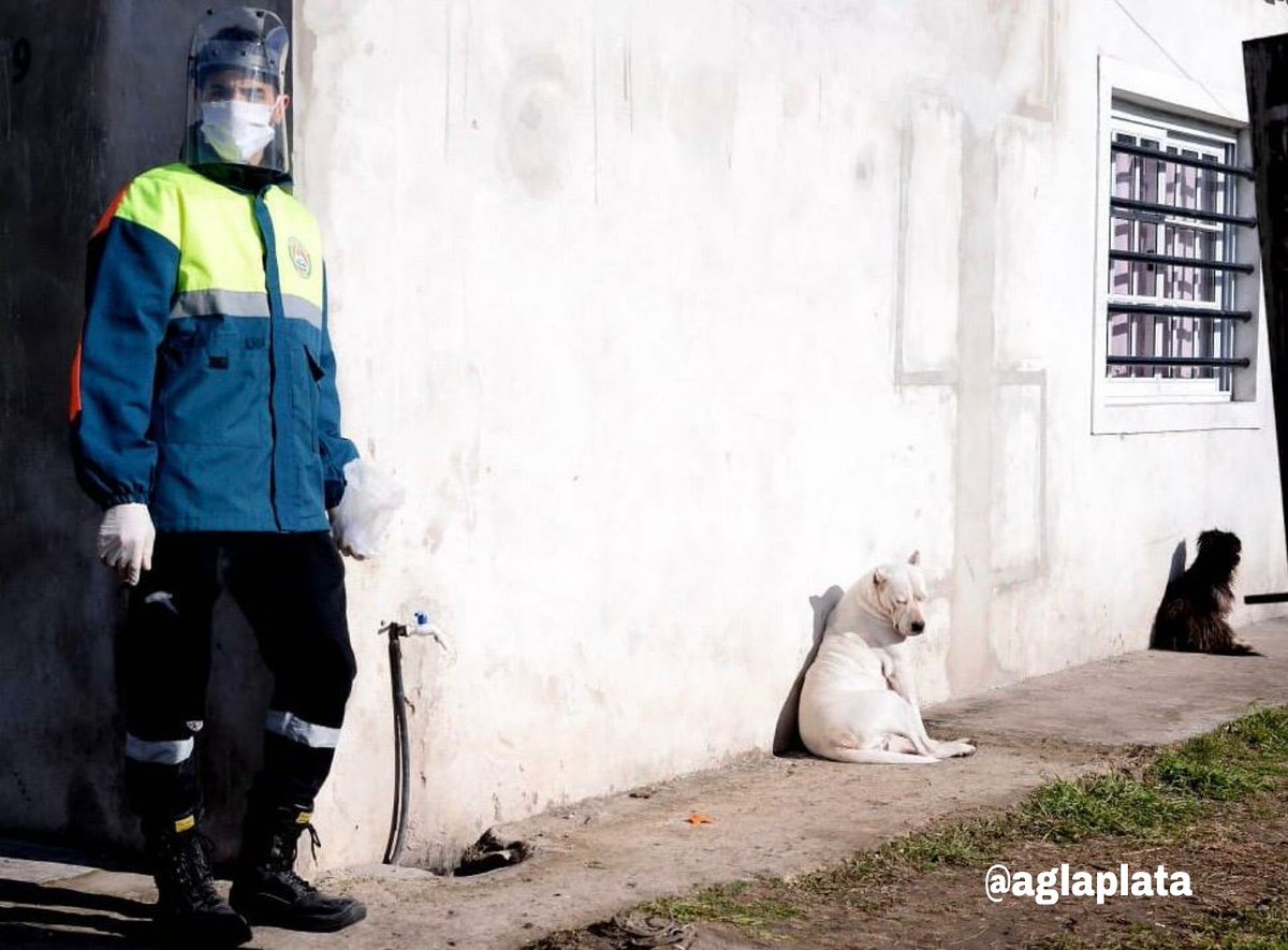 aglaplata tweet media