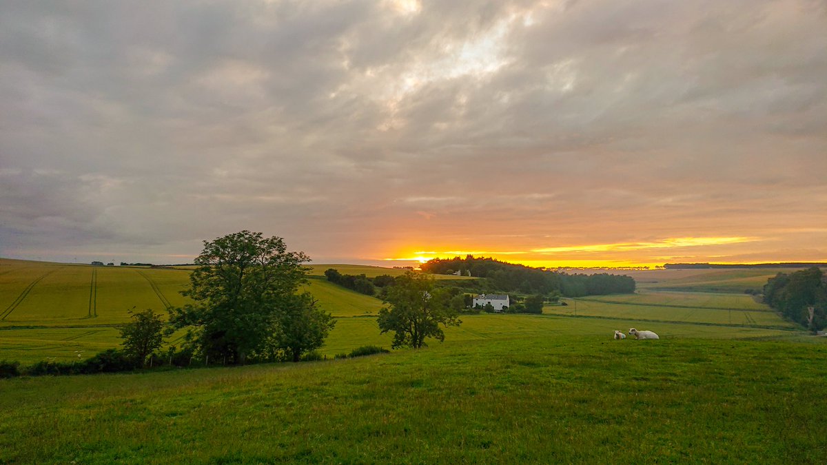 bergjagger's tweet image. The beautiful rolling Aberdeenshire farmland view from my friend's home, they are so very lucky to live here. #Auchterless #visitabdn