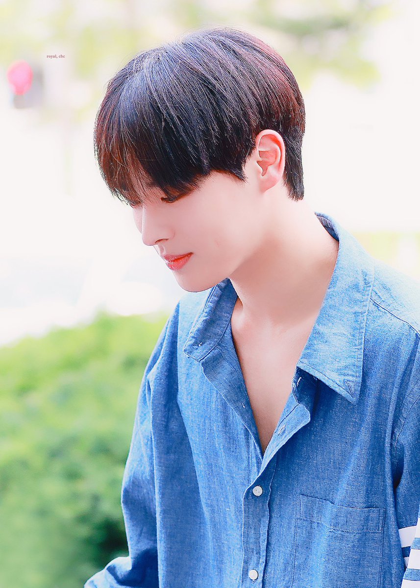 royalcbc's tweet photo. summer breeze #최병찬 #병찬 https://t.co/ANBgNOUwqz