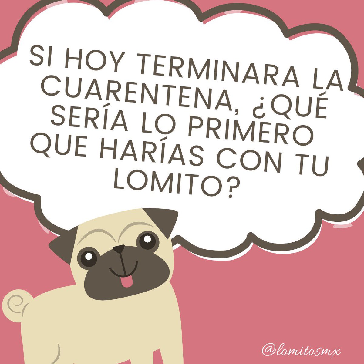 Queremos leerlos🙇🏻‍♀️🐶💕

- Brandi &amp; Negra✨