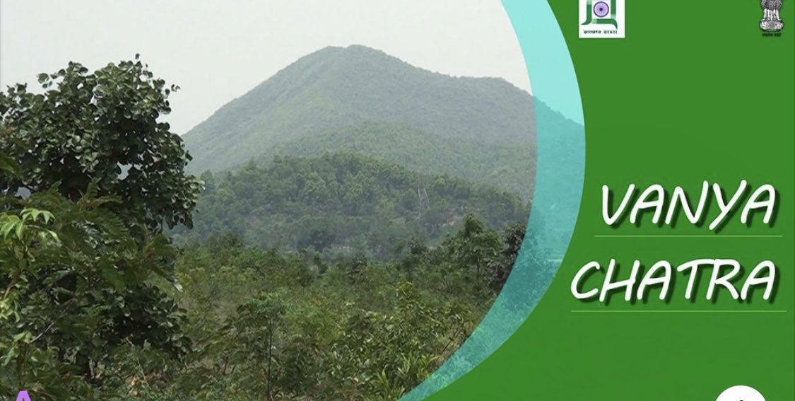 ifskalikinker's tweet photo. Videography Of Chatra South Forest Division during my Tenure. Do watch it On youtube👇

https://t.co/cktyLpHgJ6 https://t.co/q3Iiiayo6x