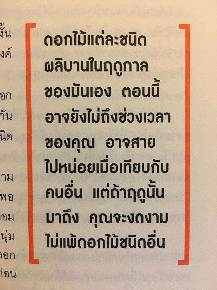 ดูดวงกับเจนรบ tweet media