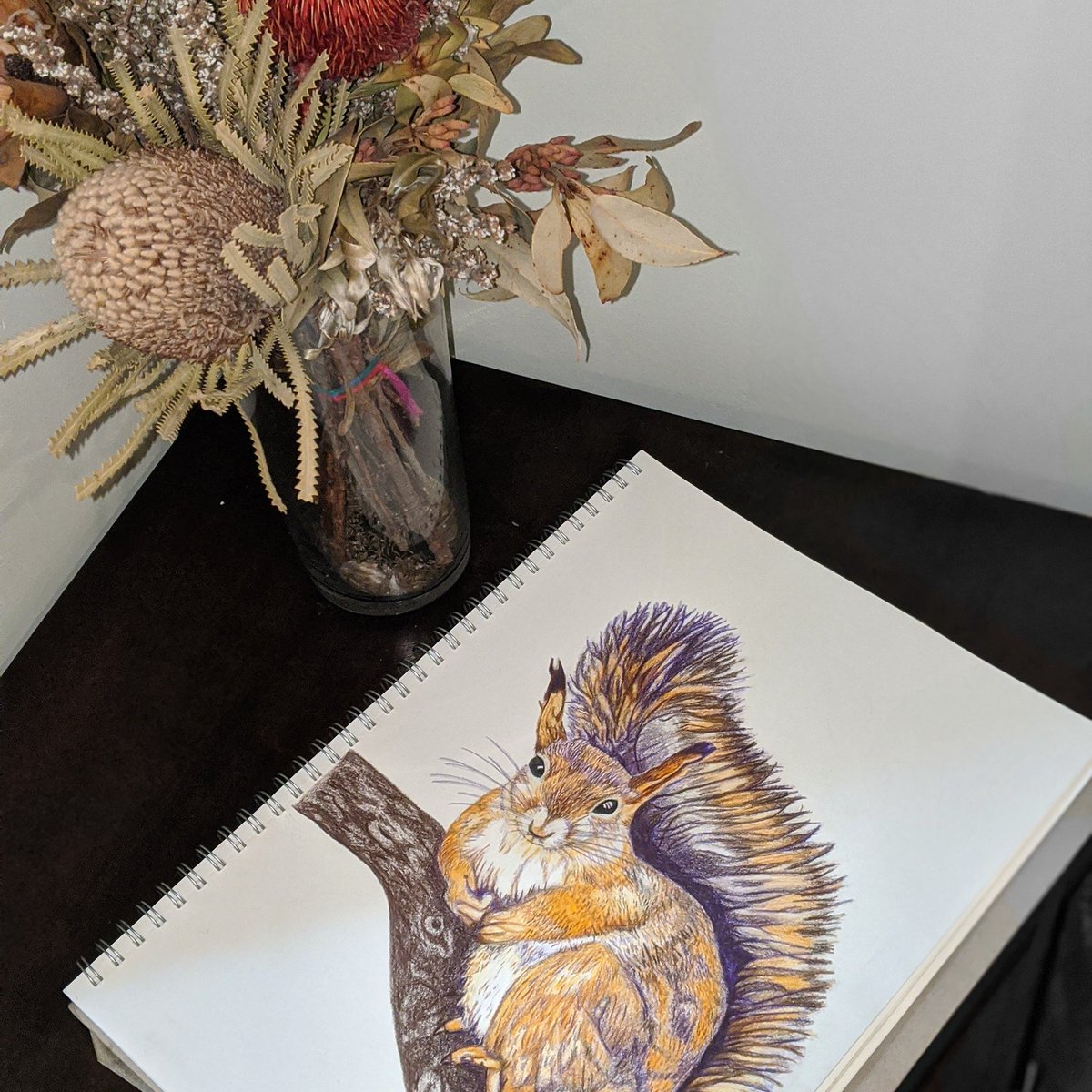 Your nutty and I like it 🌰🐿️🌿

#squirrel #squirrelart #wildlifeart #artprints
