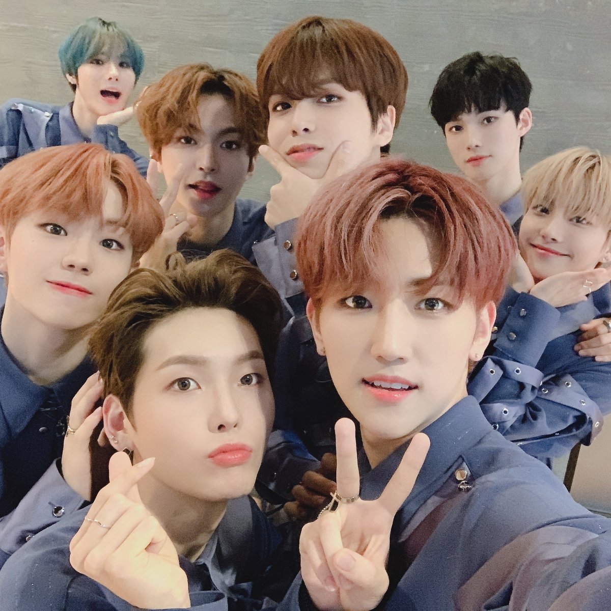 ELASTTURKEY's tweet photo. [090720] @ELASTofficial hesabının güncellemesi: 

İyi akşamlar✨ 
Lütfen yarınki Music Bank performansını dört gözle bekleyin~ ❣
Çok teşekkür ederim ve sizi seviyorum ilk ayımızı kutladığımız için, sizi seviyorum💕

#엘라스트 #ELAST #1MonthWithELAST https://t.co/QOzdExJi2q