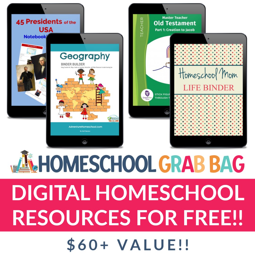 I can’t wait for the Homeschool Grab Bag sale to start on Monday! In the meantime, grab the FREE Teaser Bag today here: blog.homeschoolstyleco.com/PresaleTeaser (it's the perfect way to see the quality of content you’re in for!)
