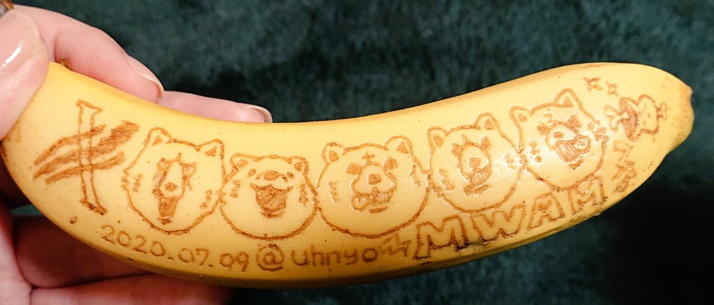 uhnyo's tweet photo. こんな時間に #バナナアート 投下www
久々に作ってしまったよ...( ˙꒳​˙ )ﾉ🍌🐺
せっかくなのでボィさんに持たせてみました｣(｡Д｡｣) https://t.co/jKxrq5KbuZ