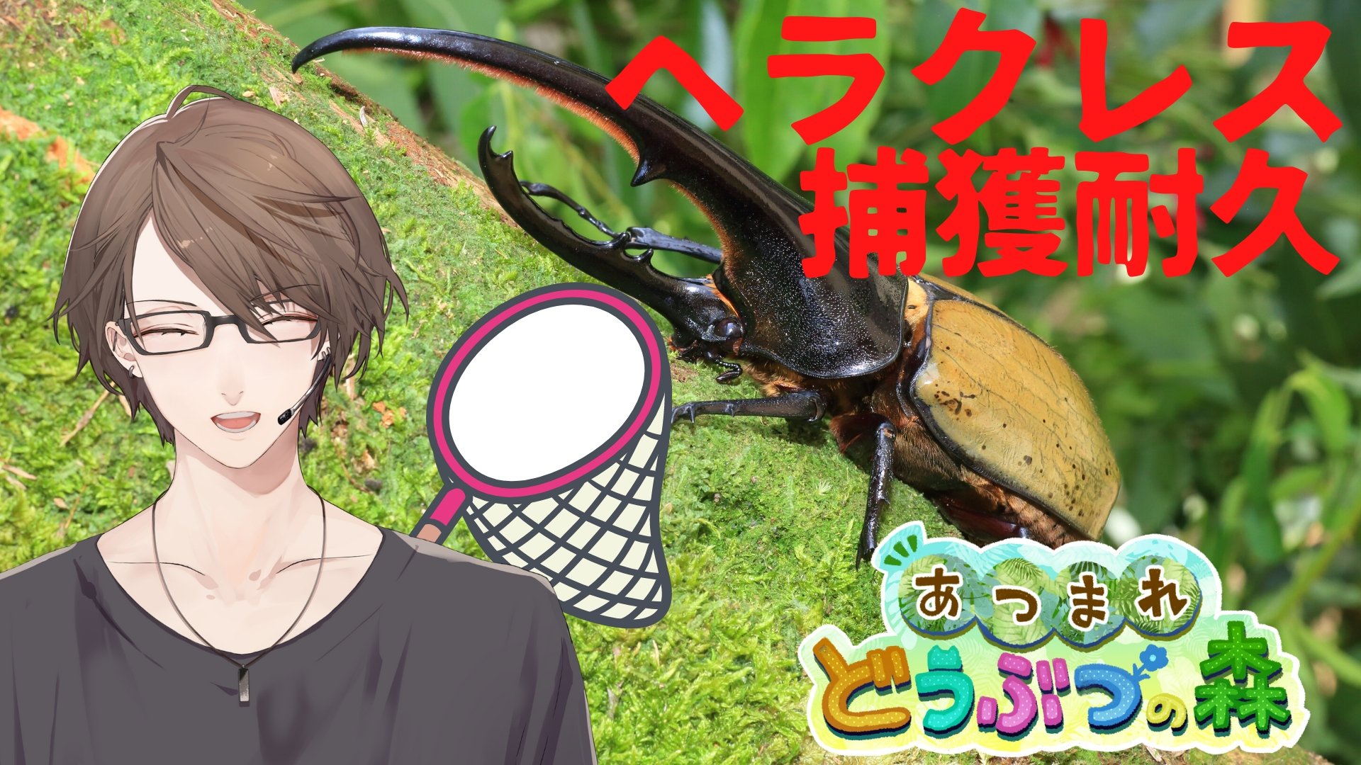 O Xrhsths 加賀美 ハヤト Sto Twitter あつまれどうぶつの森 深夜のヘラクレスオオカブト捕獲耐久 にじさんじ 加賀美ハヤト T Co Ztz8ls539b 夏なのでカブトムシ捕まえる事に致しました ちょっと今回サムネの圧強すぎますかね キツい方沢山