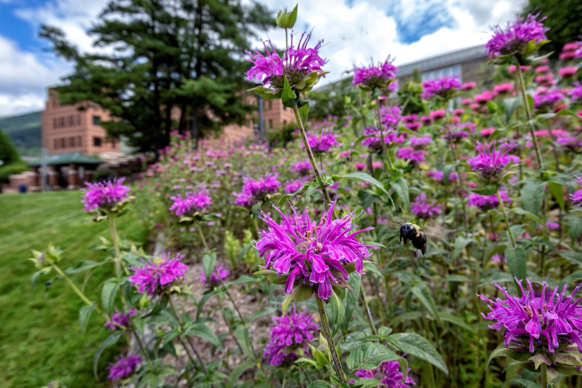 It's hard to beat summer in the High Country.