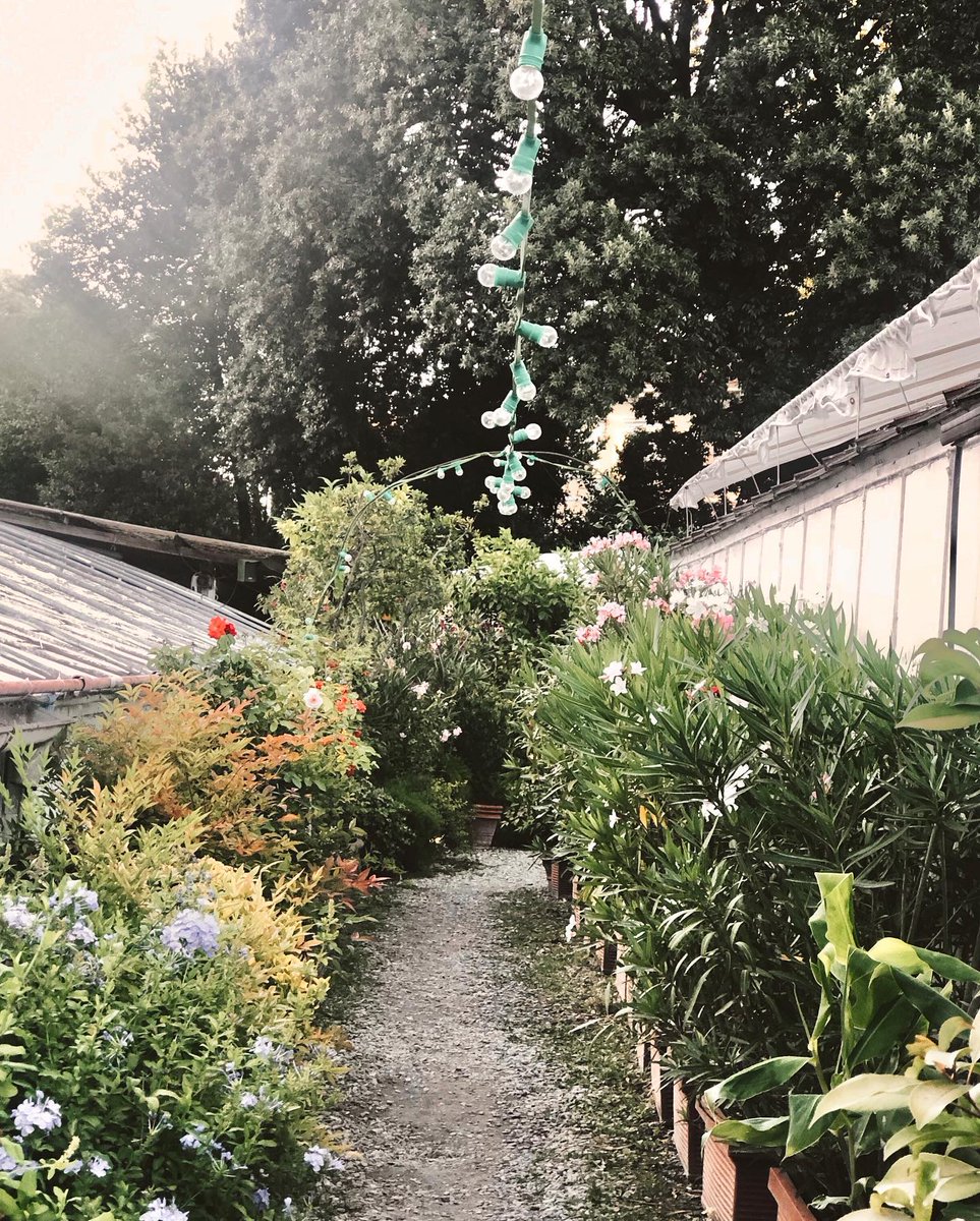 girlinflorence's tweet photo. What is it really like to rent an apartment/live in Italy if you're not a wealthy expat? Well @VeryMaryGray shares the good, the bad and the ugly in this humorous series of short stories in one "Rental Diaries" book you can buy here https://t.co/9vkuu9xfNT via @TheFlorentine https://t.co/ArhApaRXfB