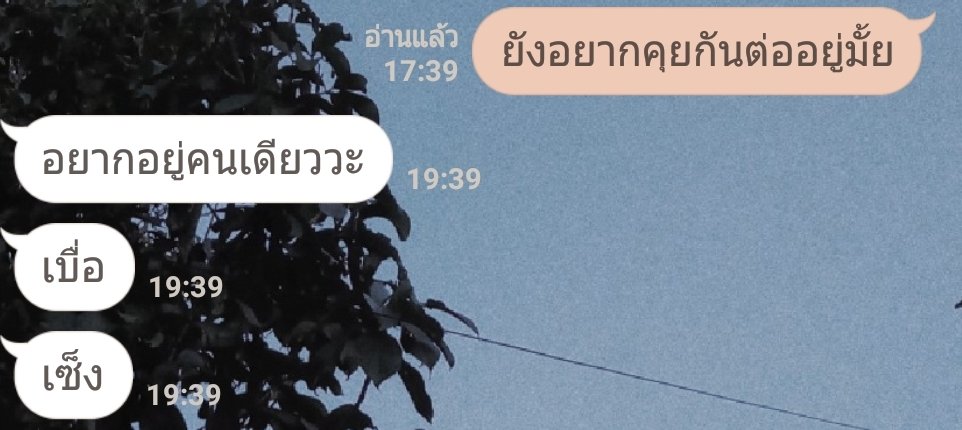 _jujunery tweet picture