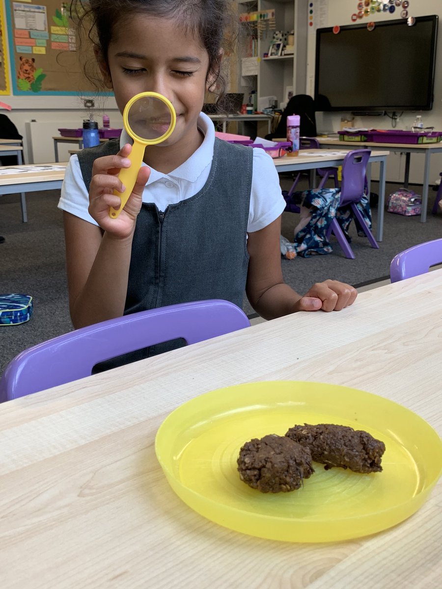 Apollo_Class's tweet photo. Some more photos of the poo and reactions from our lessons today because they were too good not to share! They loved it!! @FairfieldsPrim1 https://t.co/OSlONjd0jr