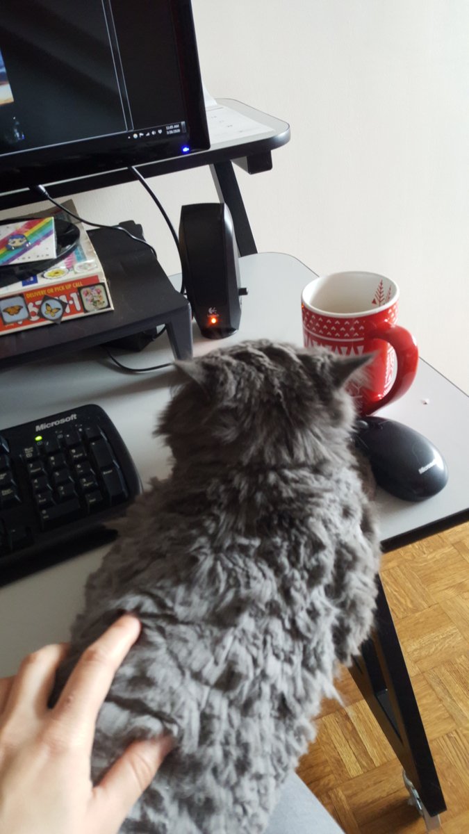 tangent_anim's tweet photo. Fur babies taking over our workspaces. The best kind of problem. π
#furbabies #furryfriends #petsatwork #pupsatwork #catsatwork #petcoworkers #wfh #stayathome #petsofinstagram #officepets #furrycoworker #napallday https://t.co/d3euMMoBmc
