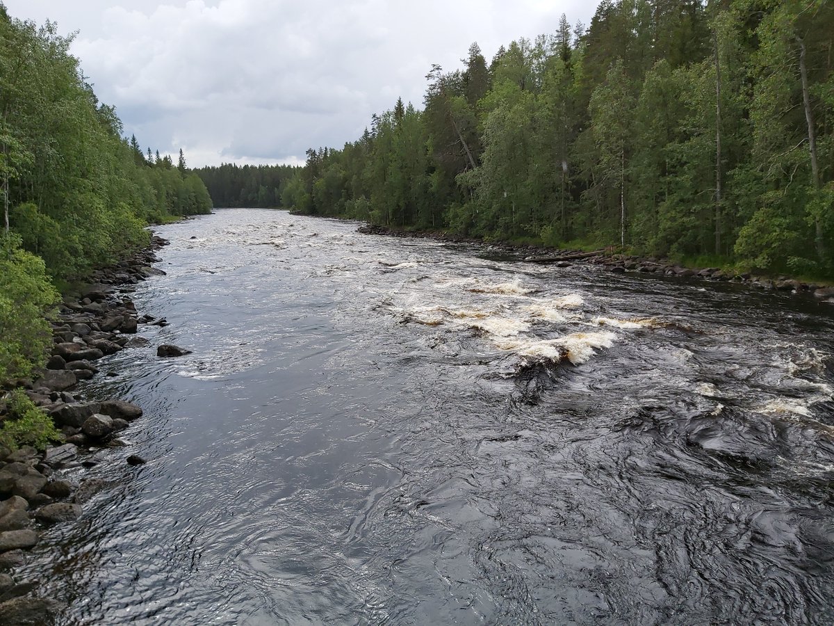 JouniAarnio's tweet photo. Ruunaan retkeilyalueella testaamassa Retkikompassia Tolosen Arton kanssa. Mahtavat maisemat ja keli mitä mainioin!
#ruunaa #metsähallitus #retkikompassi https://t.co/8ujdXFOtmK
