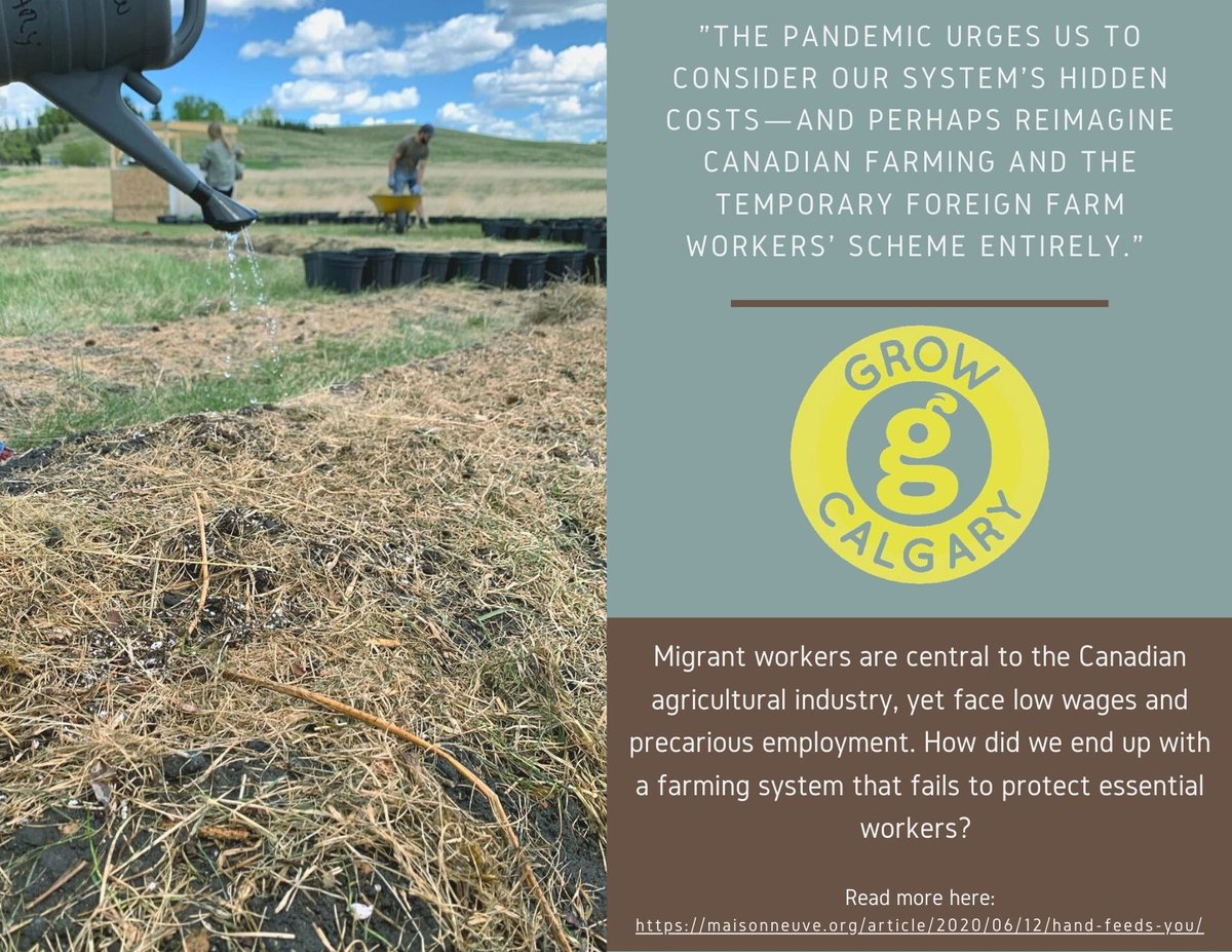 GrowCalgary's tweet photo. #Policy #yycfood #growvid2020 #growcalgary https://t.co/IQmSdJdKb4