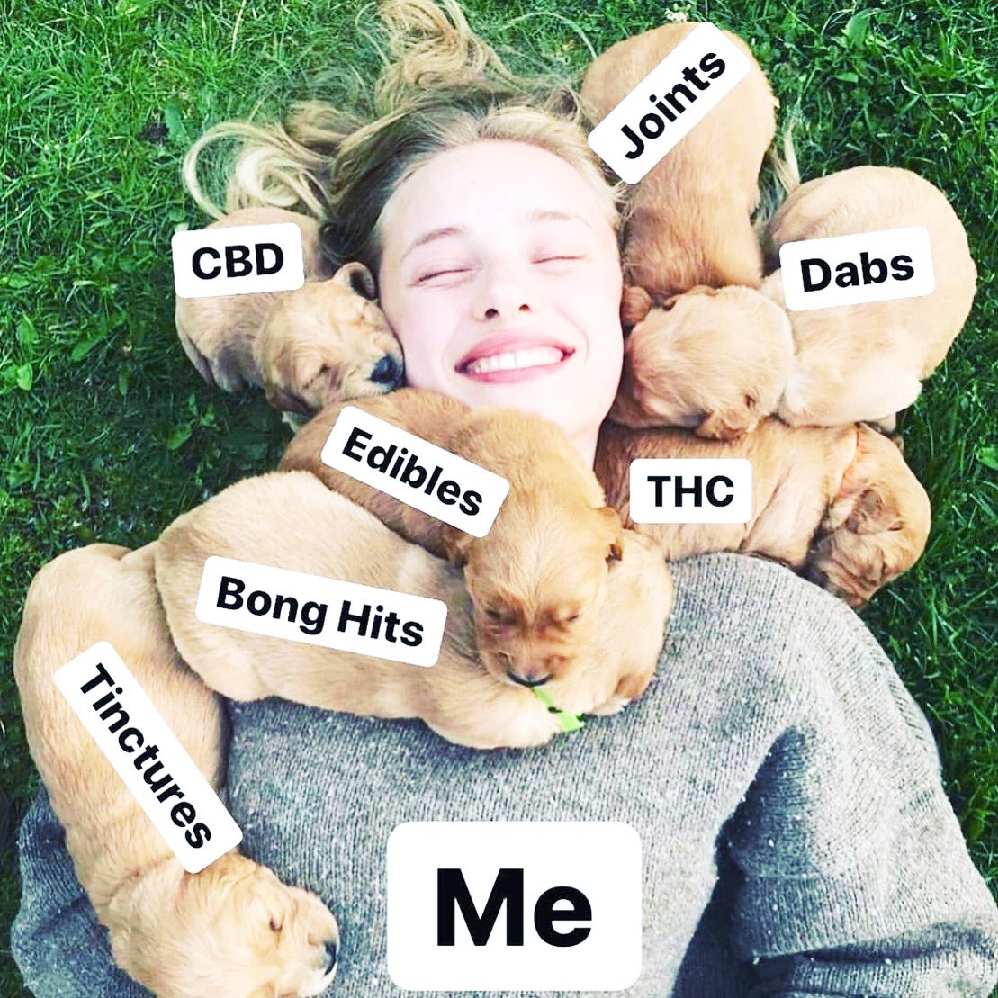 RT if this is you

#dabs #CannabisCommunity #CannabisNews #cannabisculture #cbd #edibles #StonerFam #StonerCircle #STONERS