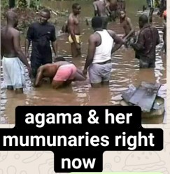 Agama and her mumunaries at the moment, searching for non existence video

#PowerTachaIsBack
#IgweTacha