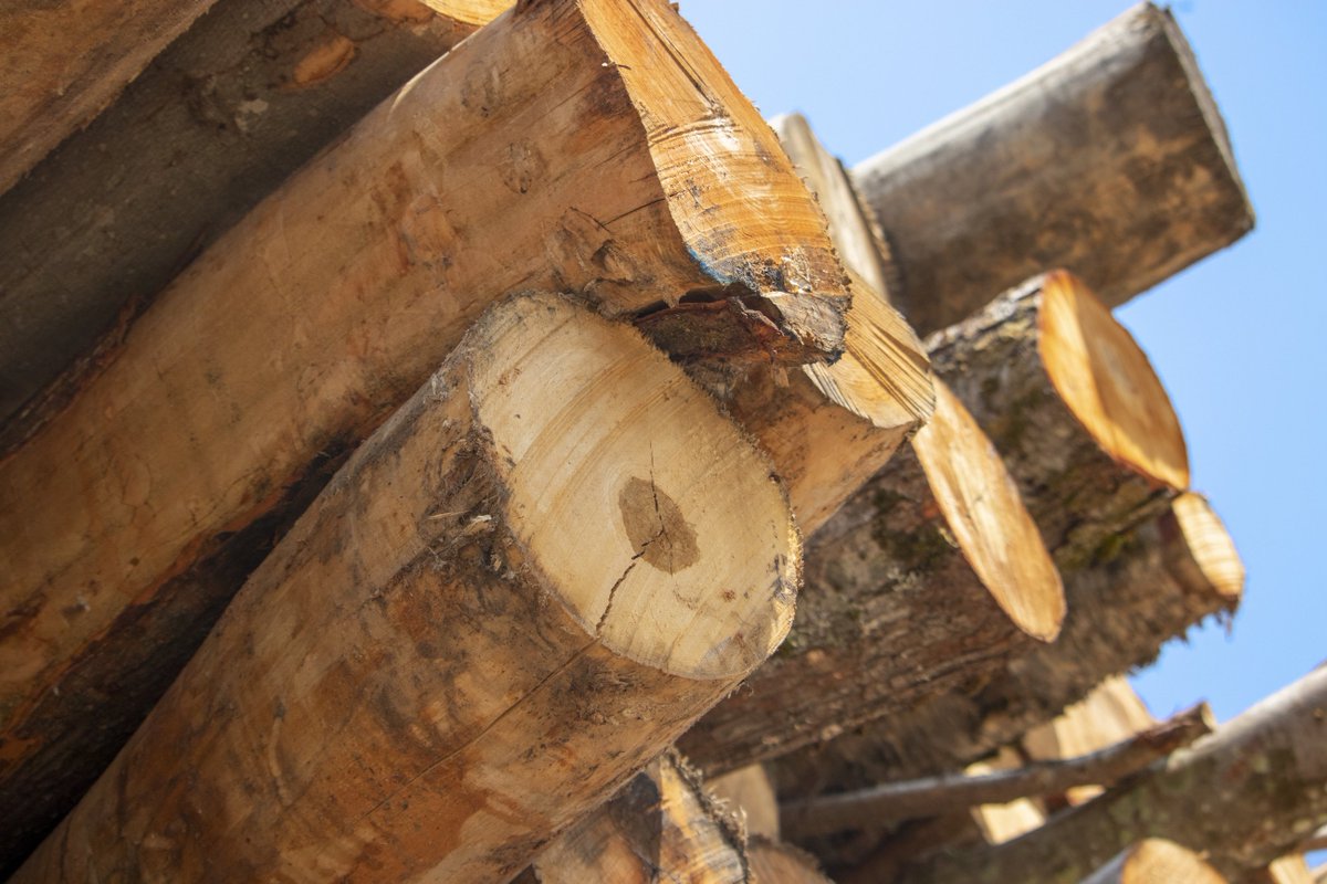 FuelsNorth's tweet photo. Premium firewood at premium prices. Check out our website or give us a call to get on the delivery schedule!

📱: (603) 945-5505
🌐: https://t.co/gN1uFDkM8b

#premiumfirewood #bestofthebest #firewoodfordays #woodpile #logpile #firewood #stackingwood #woddelivery #firewooddelivery https://t.co/4qO8DgJtc0