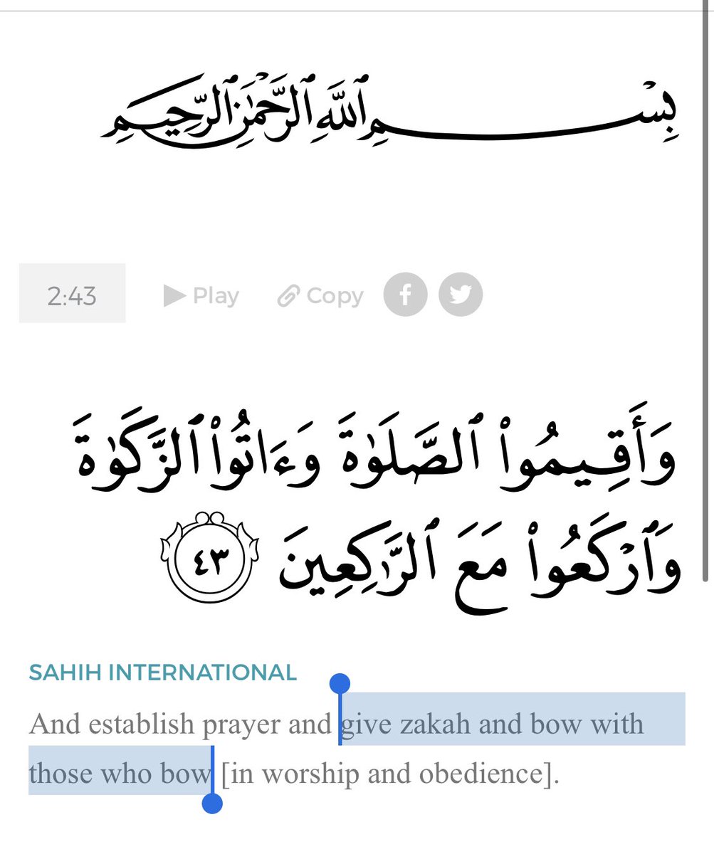 27) Paying Zakat to the Prophet while bowing is not simply a commandment towards Imam Ali, if 5:55 is exclusive to him. But to Muslims in general.