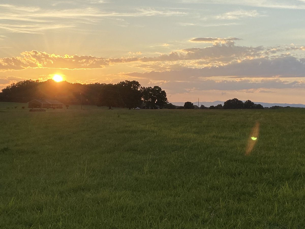 DarinandBrookeA's tweet photo. “Keep your eyes lifted high upon the  sun and you’ll see the best light in everyone.”☀️☺️ #sunlight #thesonofgod #sunsets #letyourlightsoshine #bealightforothers #seethebestinothers #darinandbrookealdridge https://t.co/6jBbi5oIPy
