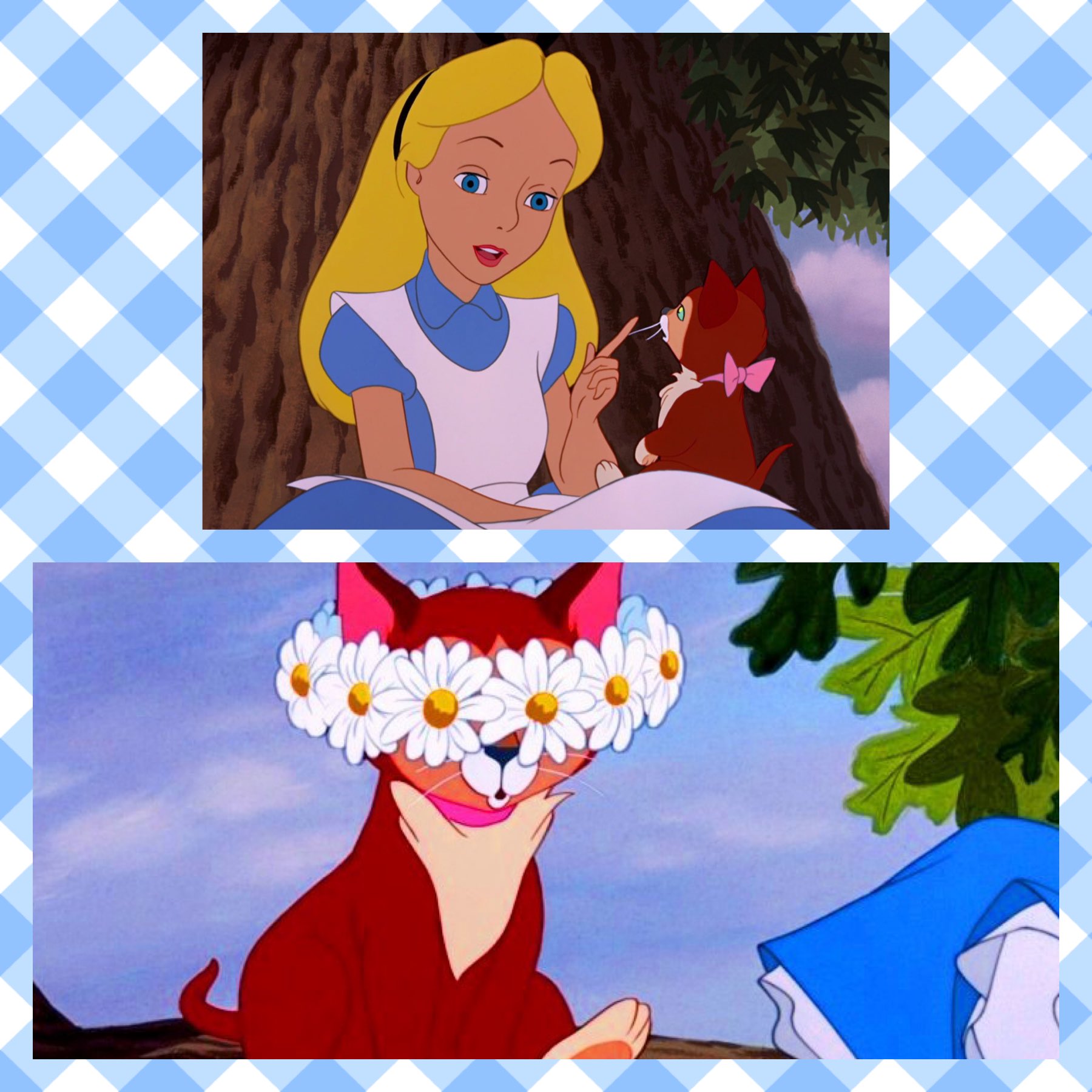 鷹取諒 Twst垢 不思議の国のアリスに出てくるオレンジ毛の猫 ダイナ Dinah 原作アリスのモデル アリス リデルの リデル家が実際飼っていた猫がダイナのモデル もしかしてツイステの ケイトのモデルはダイナから リドルの名前はリデルから