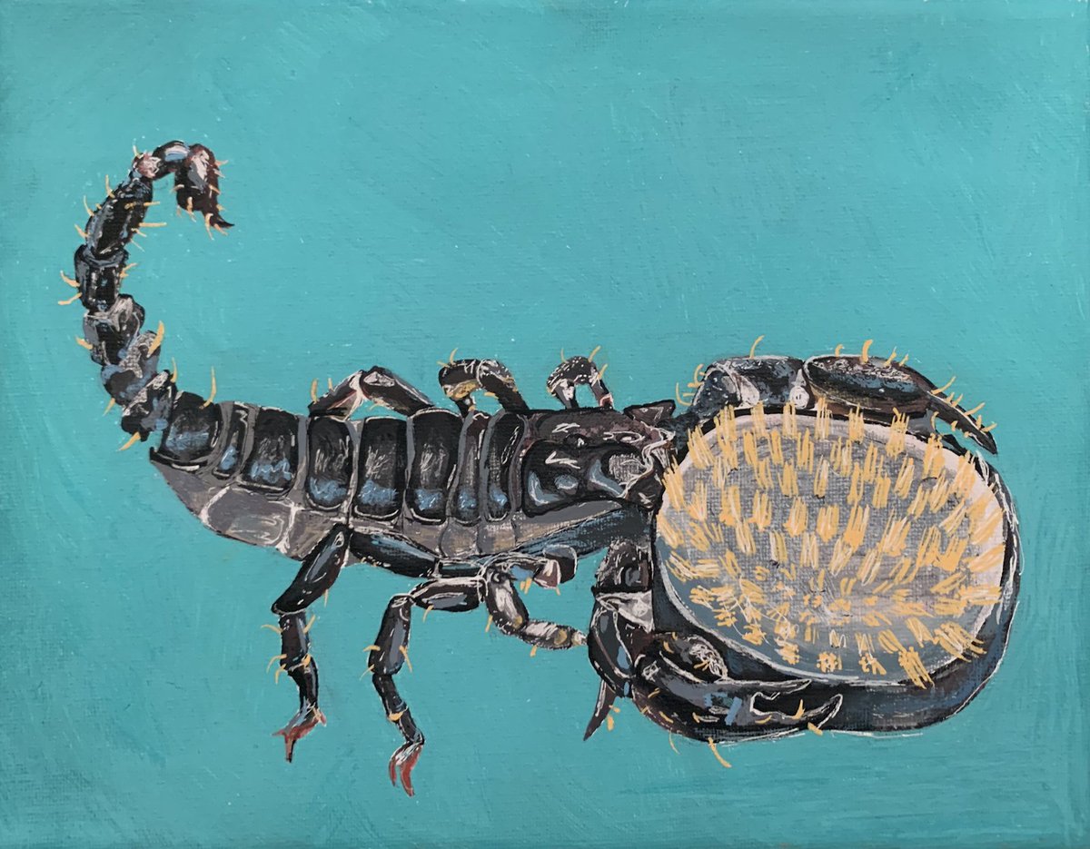PickeringColl's tweet photo. Our Grade 8 art class created hybrid drawings, combining an animal with an everyday object. Our students had a lot of flexibility with these projects including their choice of a combination of subjects, as well as materials used. #artoftheweek #PCvirtual #communityatPC #tbt https://t.co/q2u4MOcQD6