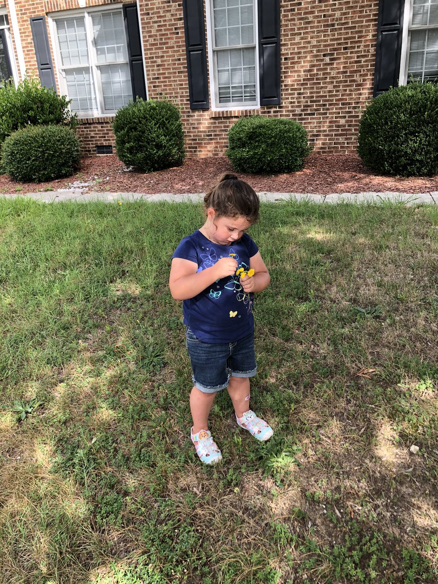 Millenniarch's tweet photo. Our wild flower! We might have to apologize to our neighbors later for picking flowers...Opps #Dadlife #Parenting #Momlife #Toddlerlife #flowers https://t.co/qm2rHk2DX5