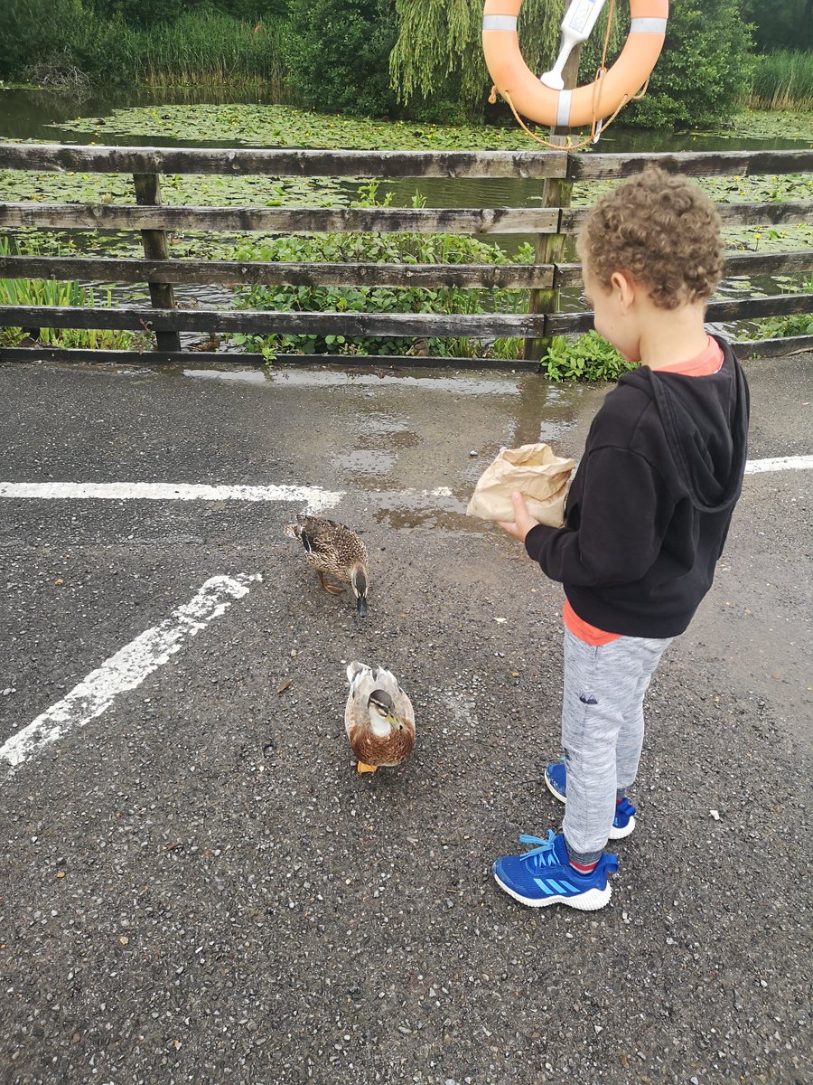 kateyrstephens's tweet photo. @PontybreninR Today, Rueben practised his handwriting on his wipe off book. He enjoyed the fun number games (sums 😜😂) before a trip to feed the ducks at the garden centre. They followed us round the car park and quacked at us they were so hungry 😂😂 https://t.co/OZTPwRTPHa