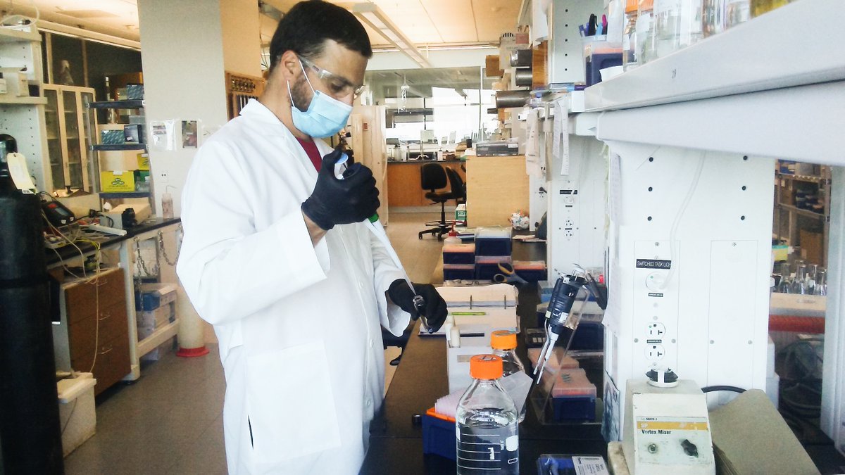 GLBioenergy's tweet photo. This week, we're featuring Jose Miguel Perez, PhD student in Noguera Lab, and his story of how #ScienceGoesOn at #GLBRCRightNow.
“Having more time to read and think has been good to get new research ideas.” https://t.co/Ojrip25afR