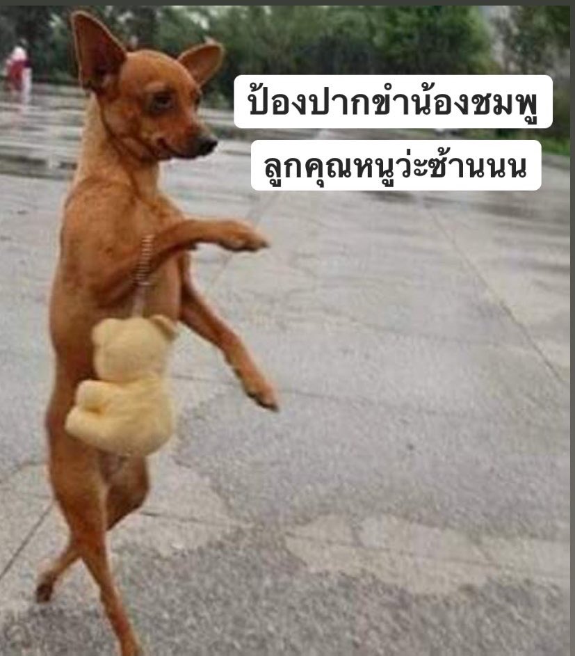 ลูกคุณหนูว่ะซ้านนนนน