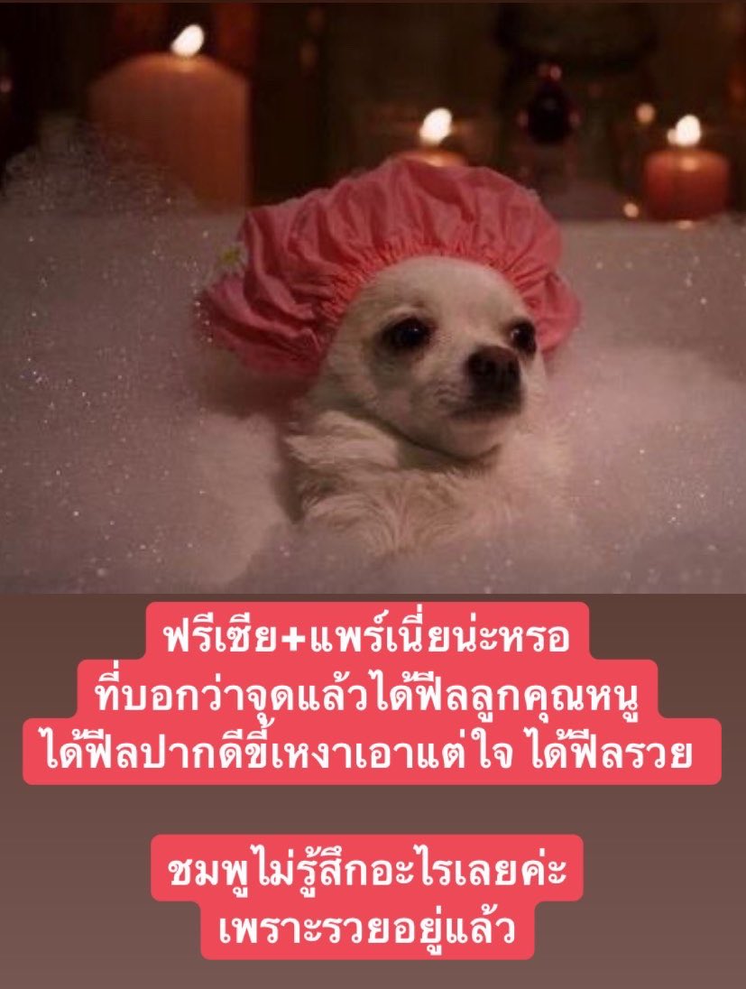 Another_u_th's tweet photo. ลูกคุณหนูว่ะซ้านนนนน https://t.co/wztZYL4lH6