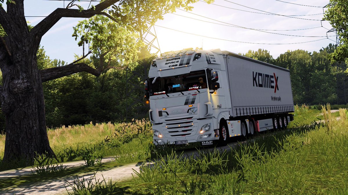 87_j4's tweet image. #DAFUnityEdition @SCSsoftware @DAFTrucksNV 
Excellent paint job! 😍👍💪