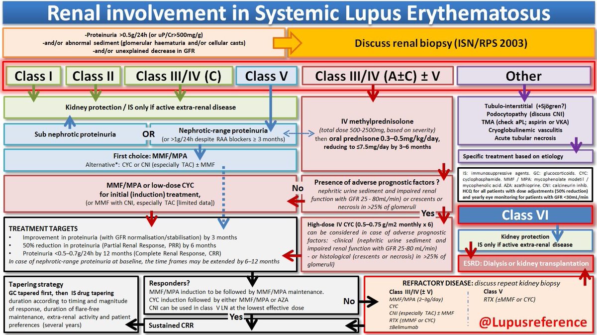 Lupusreference's tweet photo. 👍 My take on the current management of #lupus #nephritis (mix of the latest @eular_org &amp; @goKDIGO recommendations). Please RT &amp; comment🙏. I would definitely appreciate some feedback 🔄 from #nephrology colleagues as it was a tough job to assemble this slide!! 🏥
#SLE #renal https://t.co/MvfVvr7w2g
