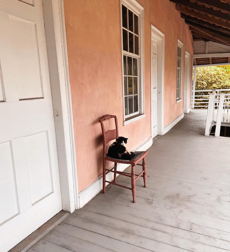 colonialdames's tweet photo. How cute is Andre the house cat?! He lives at @XFHouse &amp; you can stop by &amp; say hello when you visit the museum which is open to visitors once again! https://t.co/0p9jPOK44m